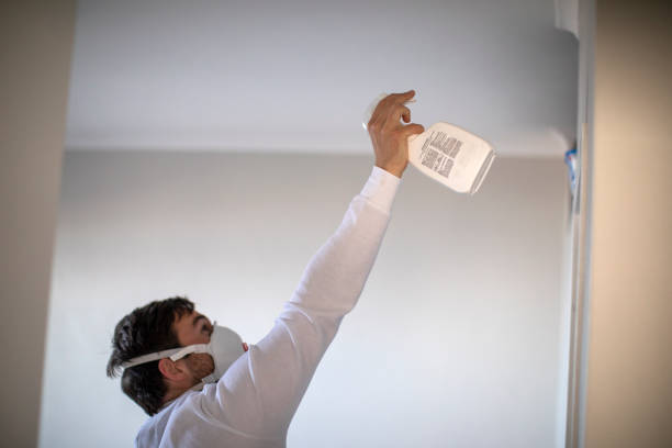 Best Mold Damage Repair  in Gardende, AL