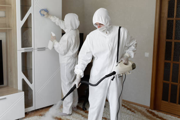 Best Professional Mold Removal  in Gardende, AL